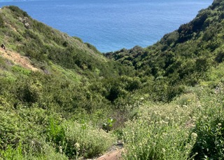 St. Paul’s Cathedral Sacred Ground in Action/Simpler Living: First